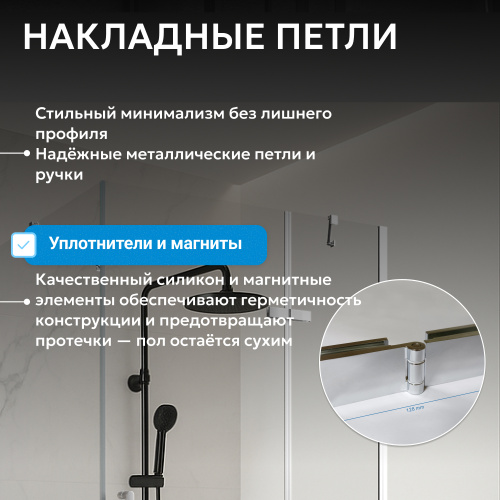 Душевой уголок 100х90 ABBER Zart AG08100-S91 фото 5