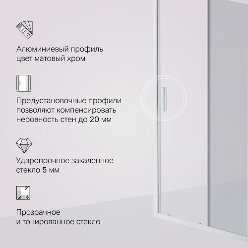 Дверь душевая в нишу AM.PM Gem W90G-100-1-195MG фото 3