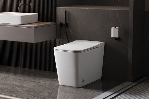Унитаз ABBER Rechteck AC1213P приставной белый с импульсным смывом фото 3